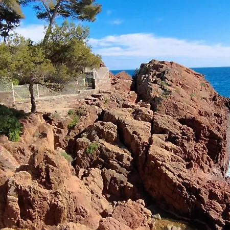 Le Flore Fréjus