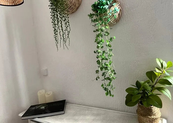 酒店 植物群酒店