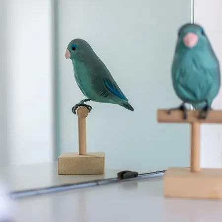 Le Flore Hotel Fréjus